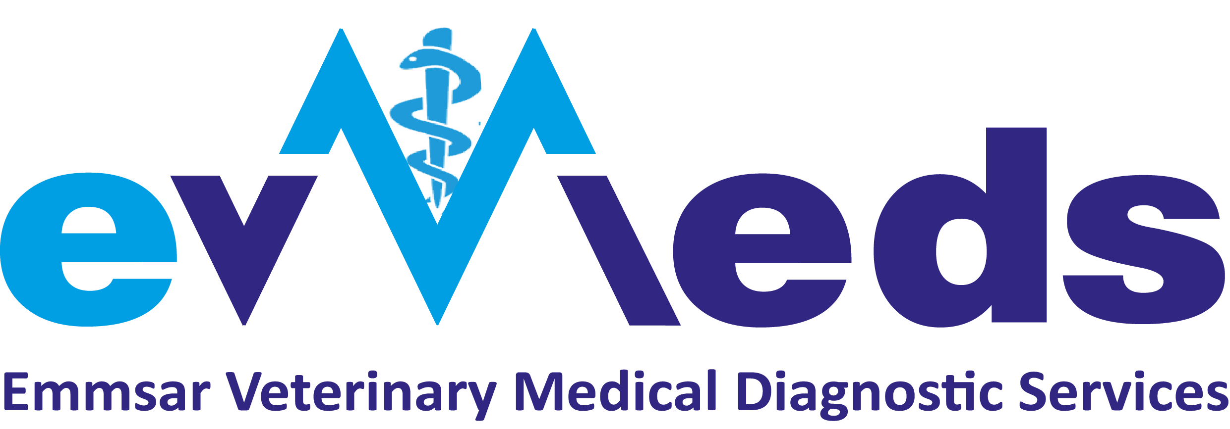 Evmeds Logo